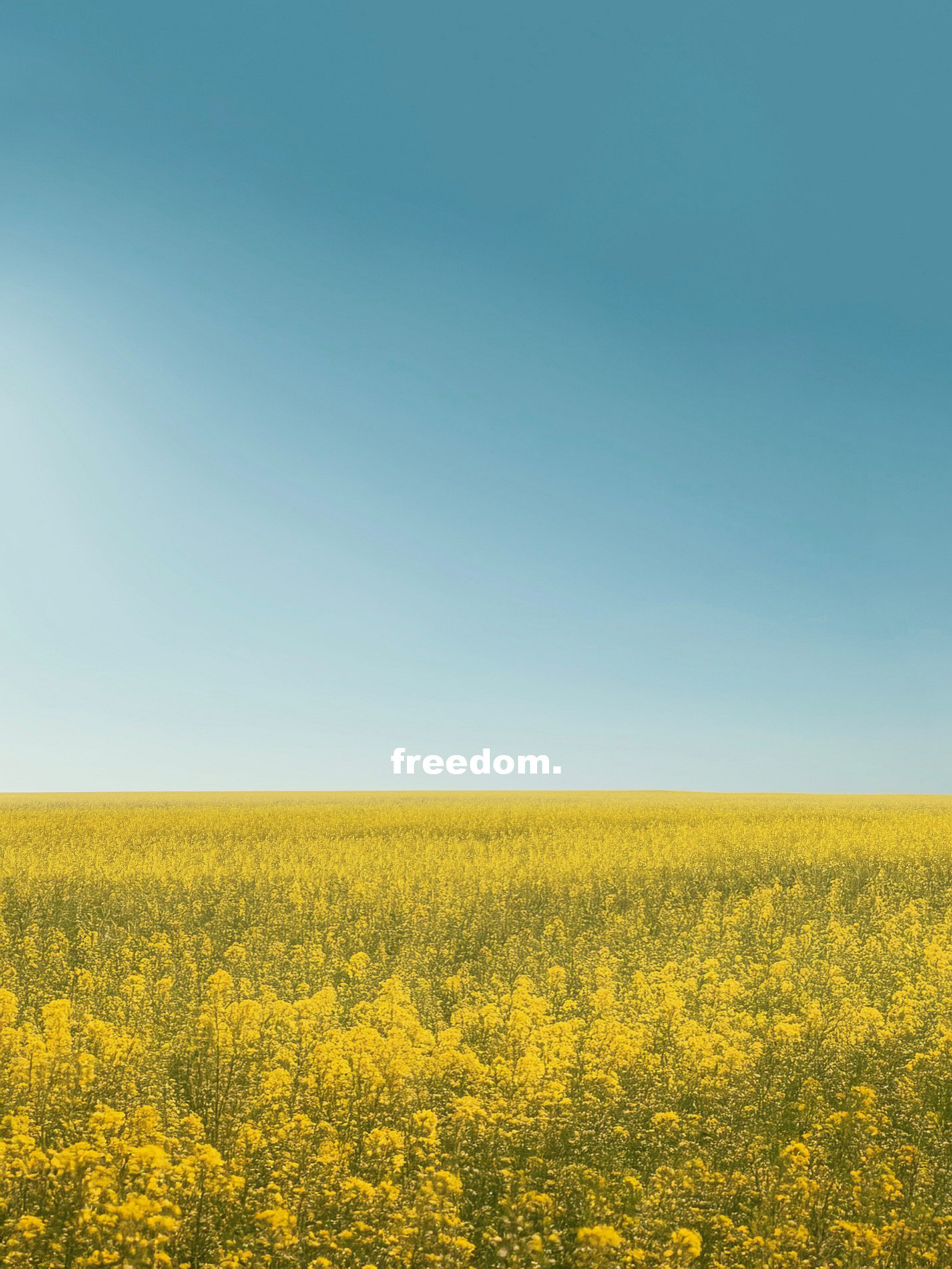 Freedom, autor Barbora Rozsypalová; fotografie soutěže Studentská spoušť 2025 v užším výběru