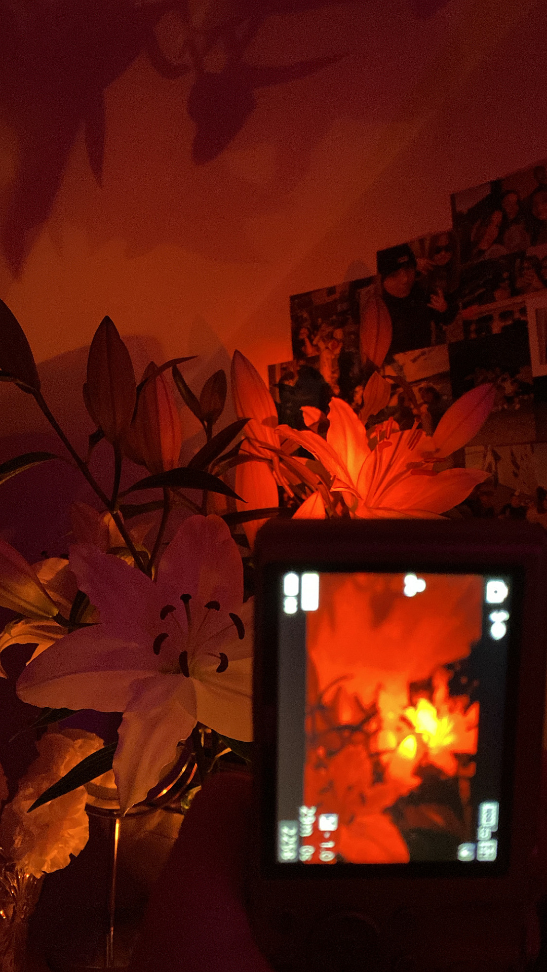 Kouzlo okamžiku 1, autor Kamila Kukhta; fotografie soutěže Studentská spoušť 2025 v užším výběru