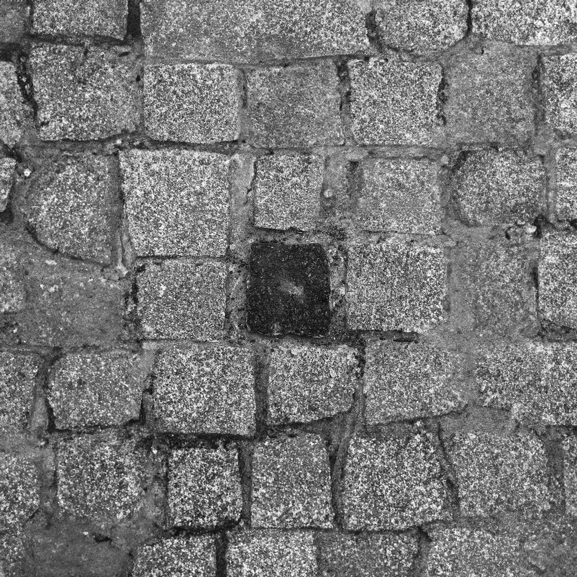 Jak vidím svět, autor Reynaldo Espinoza; fotografie soutěže Studentská spoušť 2025 v užším výběru